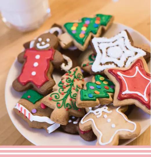 Holiday Cookie Decorating Kit